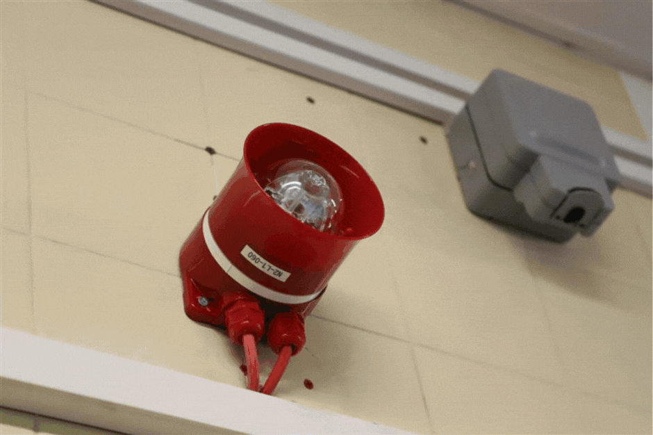 Ellen Tinkham GIF