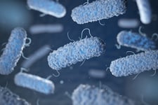 Legionella Risk Assessments Explained
