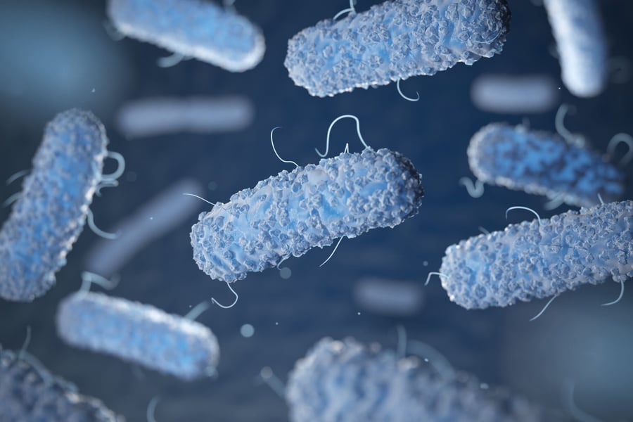 Legionella Risk Assessments Explained