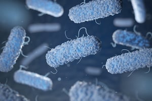 Legionella Risk Assessments Explained
