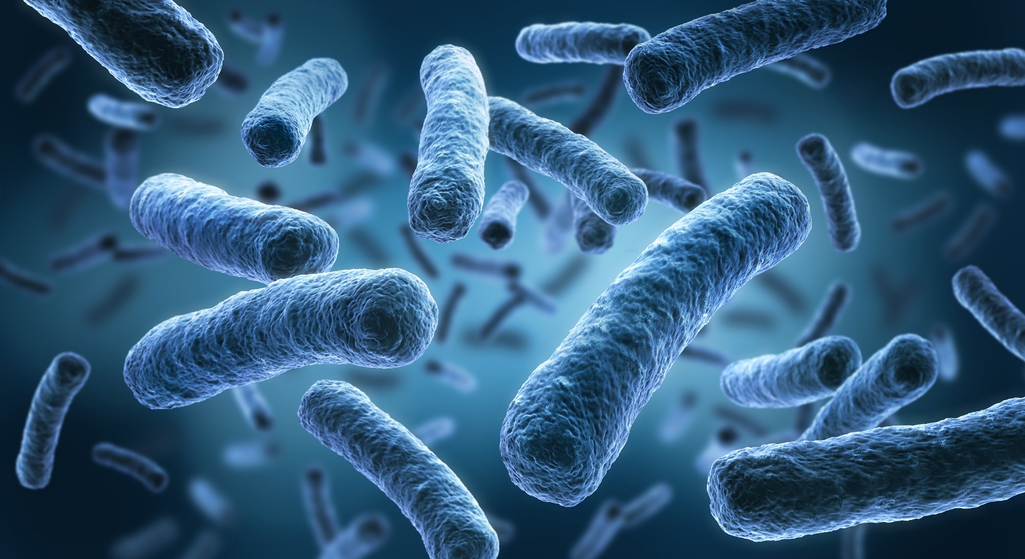 Legionella Legionella