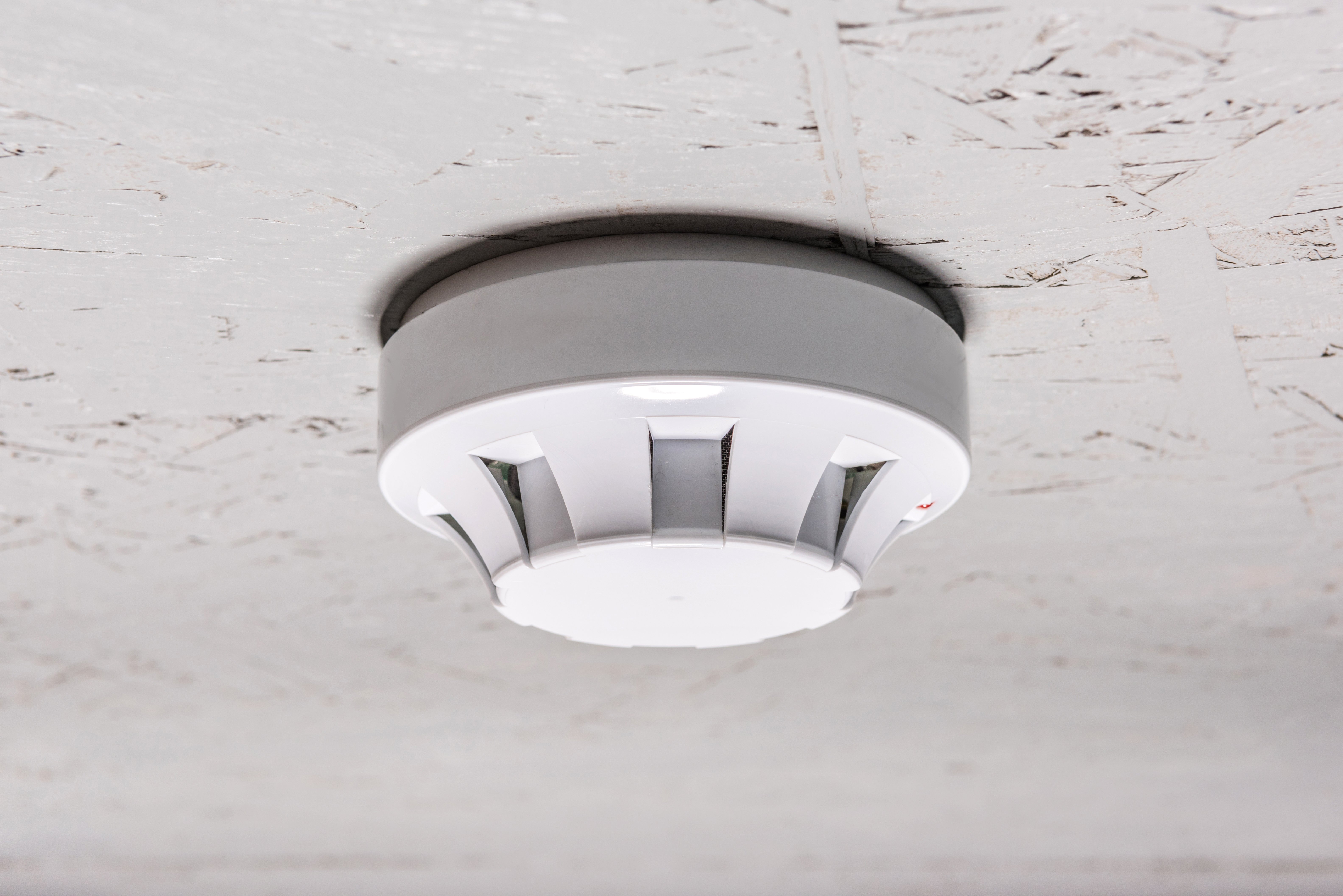 smoke-detector-of-fire-alarm-on-white-ceiling-at-h-2YYTBAW11