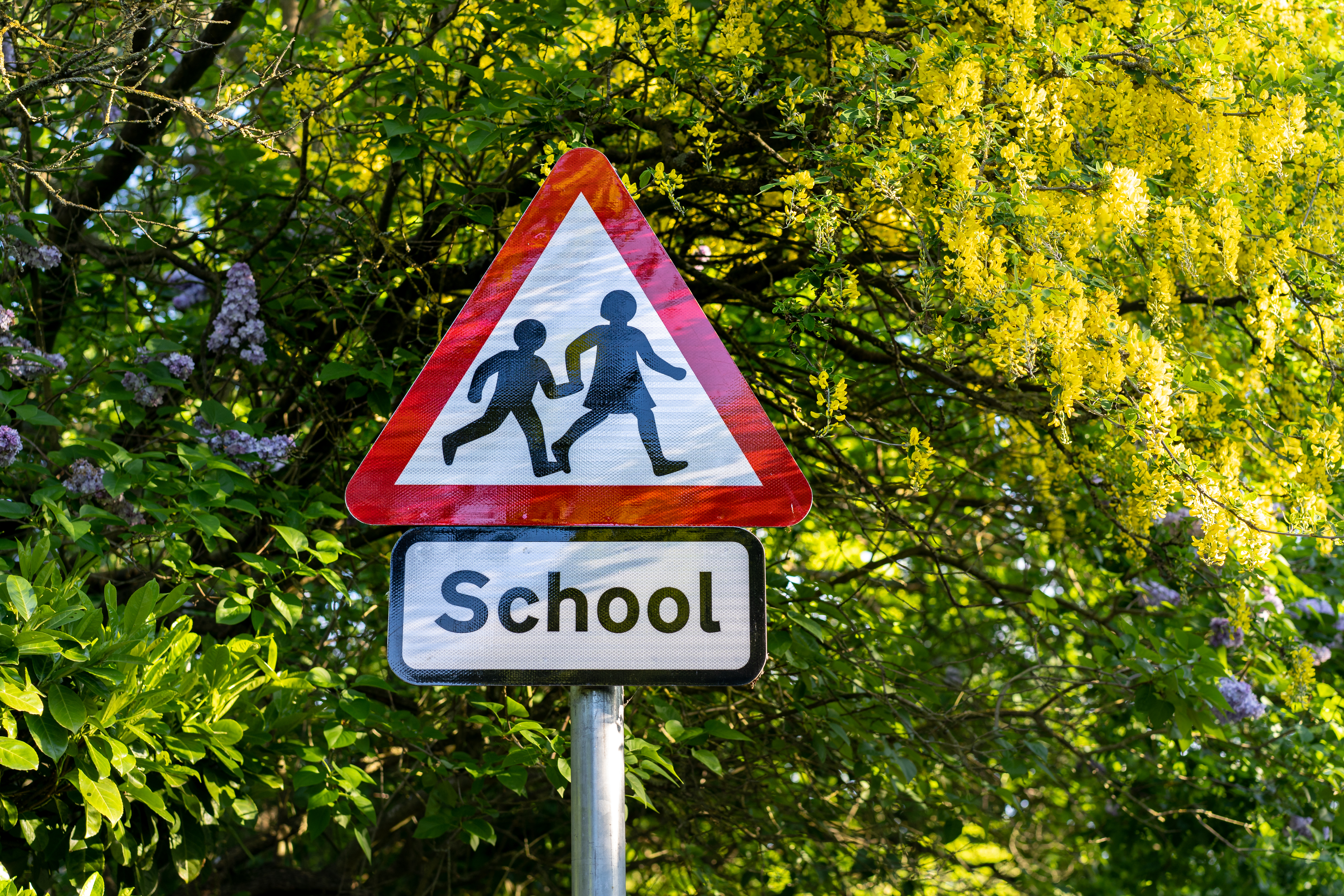 School sign in front of trees